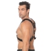 Scottish Leather Harness - S/M