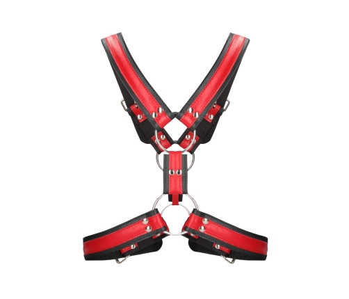Scottish Leather Harness - L/XL