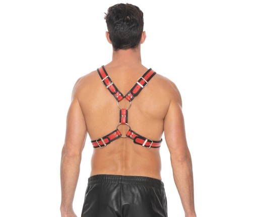 Scottish Leather Harness - L/XL