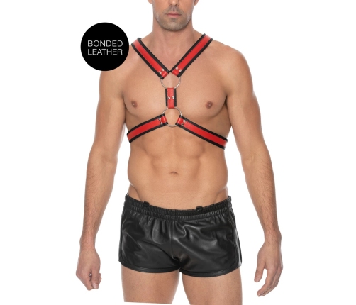 Scottish Leather Harness - L/XL