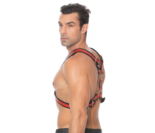 Scottish Leather Harness - L/XL