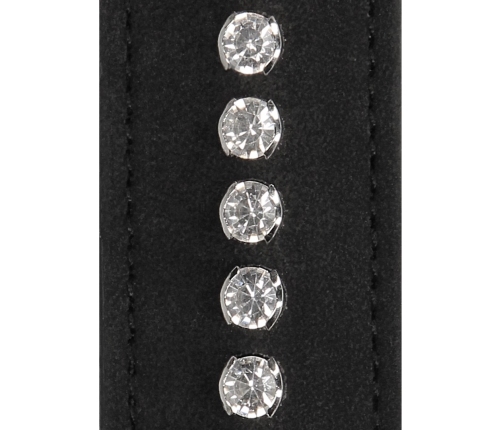 Diamond Studded Collar with Leash