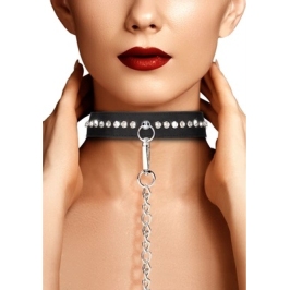 Diamond Studded Collar with Leash