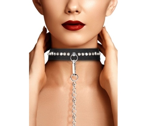 Diamond Studded Collar with Leash
