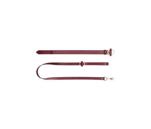Luxurious Collar with Leash
