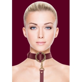 Luxurious Collar with Leash