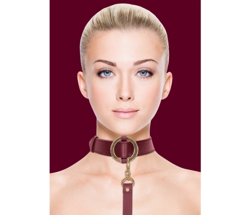 Luxurious Collar with Leash