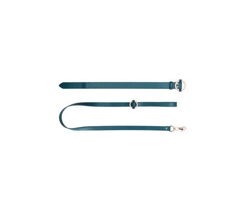 Luxurious Collar with Leash