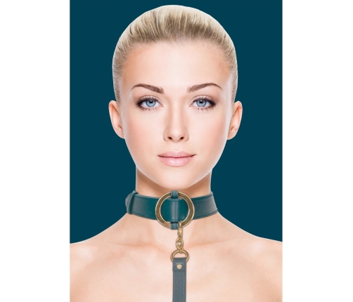 Luxurious Collar with Leash