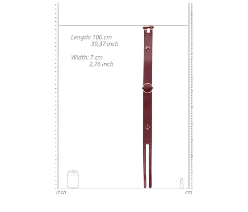 Waist Belt with Bondage Rings - S/M