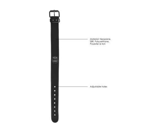 Neoprene Collar with Leash