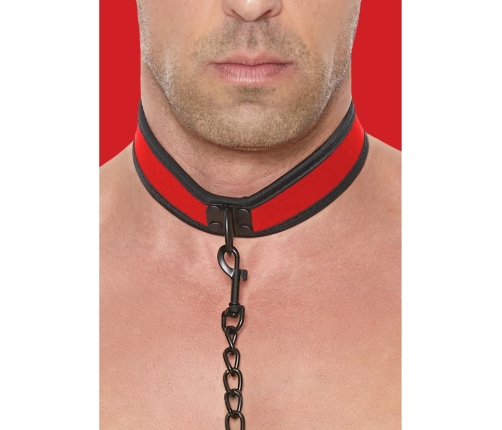 Neoprene Collar with Leash
