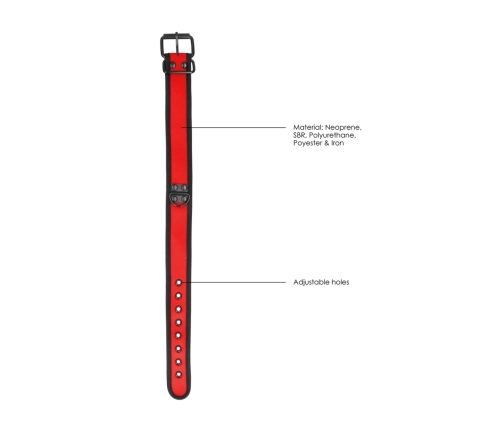 Neoprene Collar with Leash