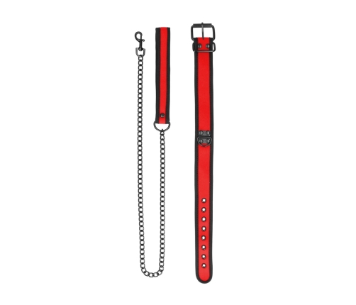 Neoprene Collar with Leash