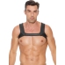 Neoprene Harness - L/XL