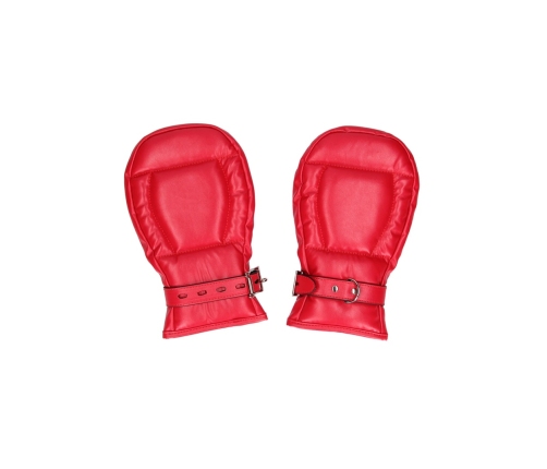Neoprene Dog Gloves