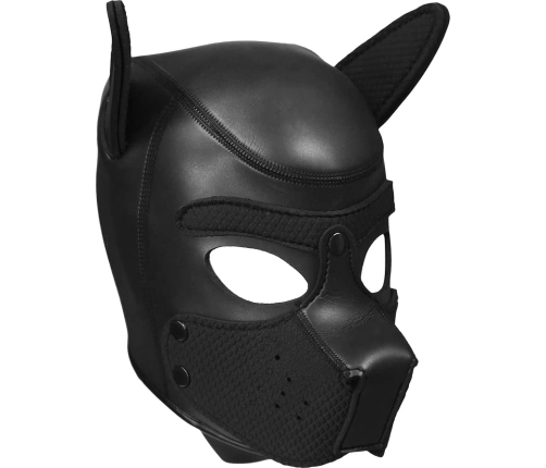 Neoprene Puppy Kit - L/XL