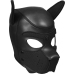 Neoprene Puppy Kit - L/XL