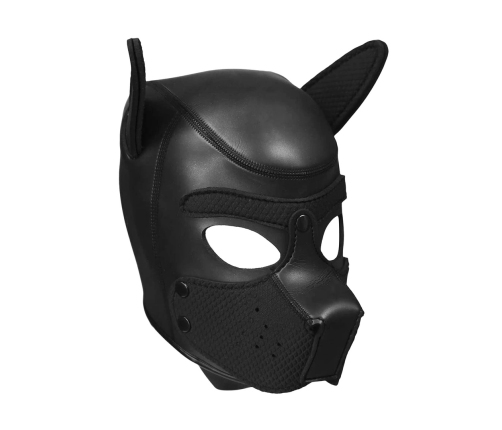 Neoprene Puppy Kit - L/XL