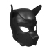 Neoprene Puppy Kit - L/XL