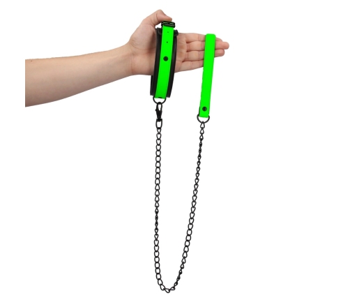 Collar and Leash - Glow in the Dark