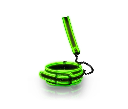 Collar and Leash - Glow in the Dark