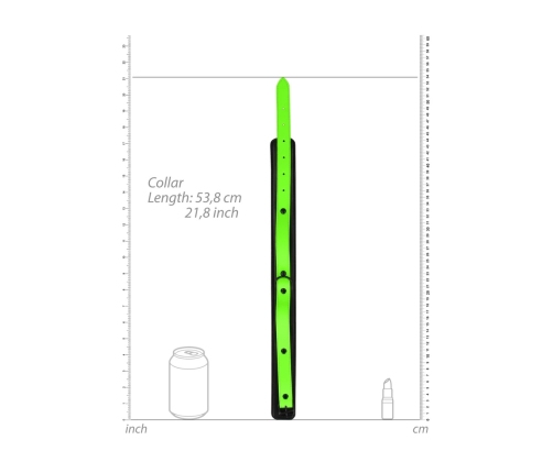 Collar and Leash - Glow in the Dark
