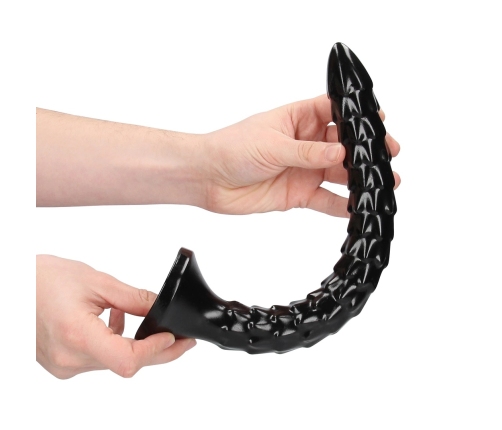 Scaled Anal Snake - 12''/ 30 cm