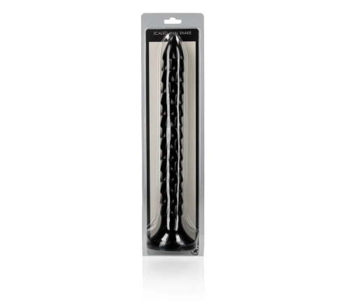 Scaled Anal Snake - 12''/ 30 cm