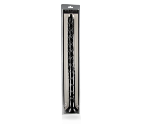 Scaled Anal Snake - 20''/ 50 cm