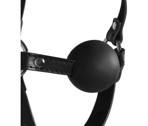 Blindfolded Head Harness with Solid Ball Gag - Black