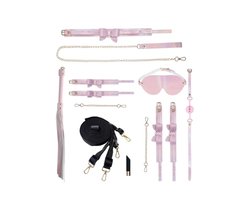 Ouch! Paris Collection Bondage Kit with Handbag Pink