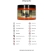 Lubricant Gold - 17 fl oz / 500 ml
