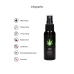 CBD Cannabis Massage Oil - 2 fl oz / 50 ml