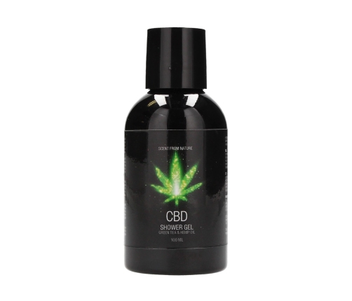 CBD Travel Set Green Tea Hemp Oil
