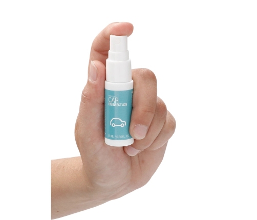 Antibacterial Car Disinfection - 0.5 fl oz / 15 ml