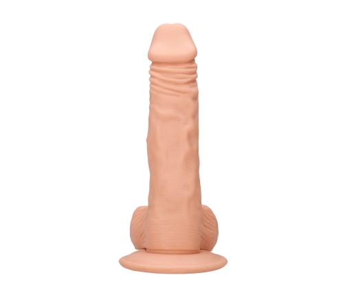 Dong with Testicles - 8 / 20 cm