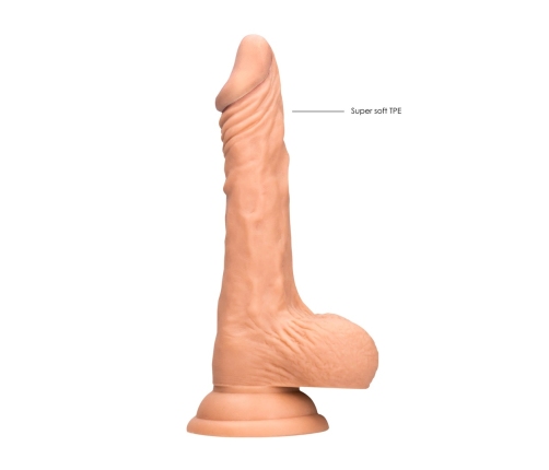 Dong with Testicles - 8 / 20 cm