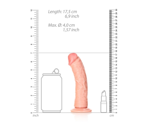 Curved Realistic Dildo with Suction Cup - 6 / 15,5 cm