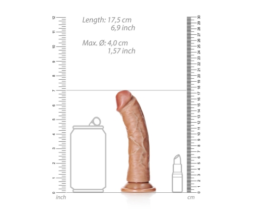 Curved Realistic Dildo with Suction Cup - 6 / 15,5 cm