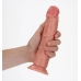 Curved Realistic Dildo with Suction Cup - 8 / 20,5 cm