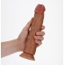 Curved Realistic Dildo with Suction Cup - 9 / 23 cm