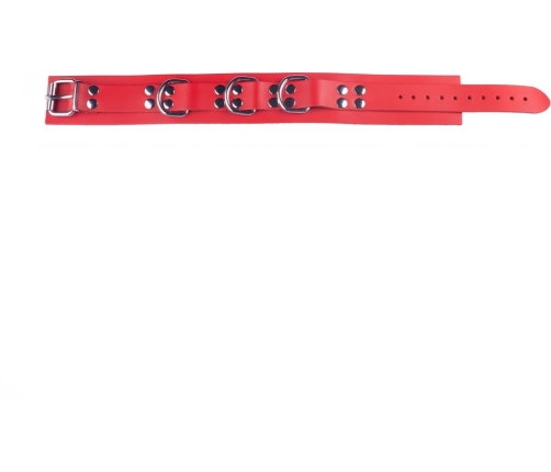 Red Leather Collar Red - Adjustable, Metal Hardware, 38-52 cm