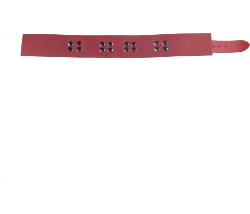 Red Leather Collar Red - Adjustable, Metal Hardware, 38-52 cm