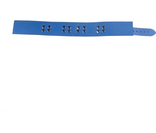 Red Leather Ultra Blue Adjustable Leather Collar 38-52 cm