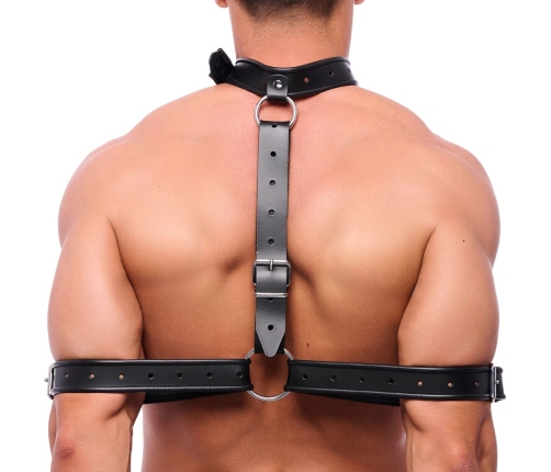 Red Leather Collar Black - Adjustable European Design