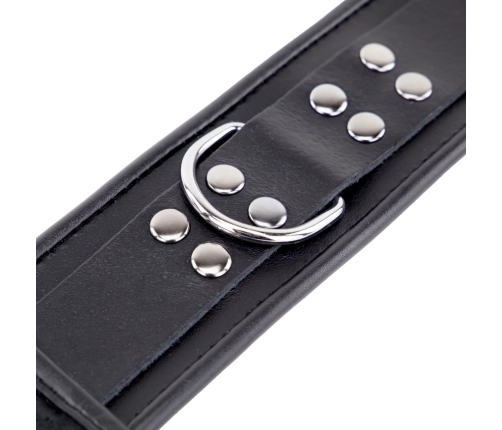 Red Leather Adjustable Neck and Hand Restraint System