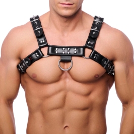 Red Leather Leather Harness L/XL Adjustable Black Cowhide Straps