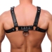 Red Leather Leather Harness L/XL Adjustable Black Cowhide Straps
