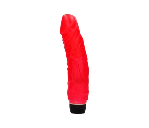 Perfect Pleasure - Multispeed Vibrator - 9 / 22 cm